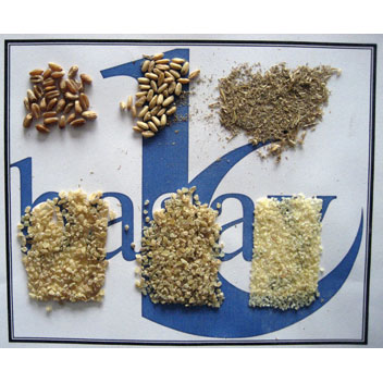 BULGUR