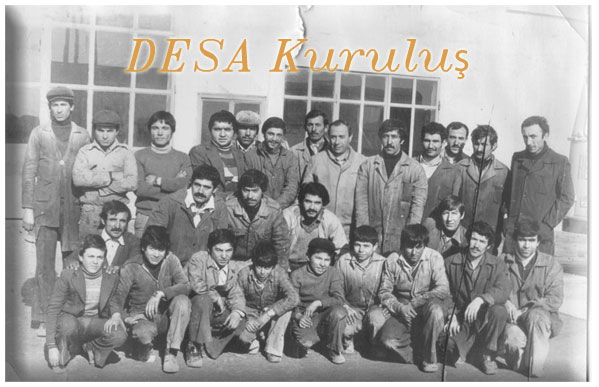 DESA In Early Times of Establishment