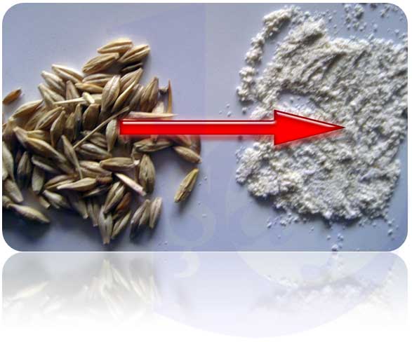 Barley Flour